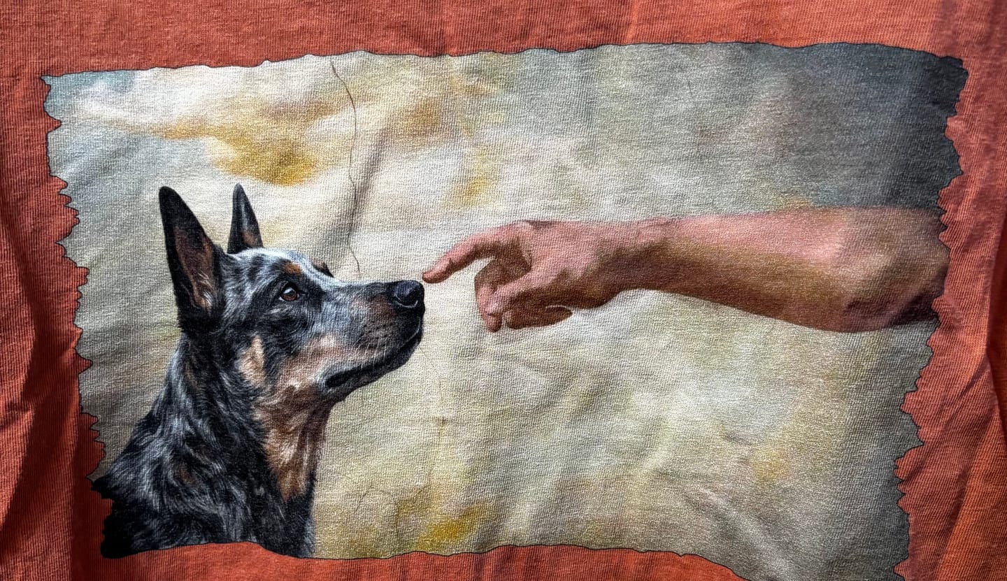 Customer photo review of God Creates Blue Heeler Premium Tee