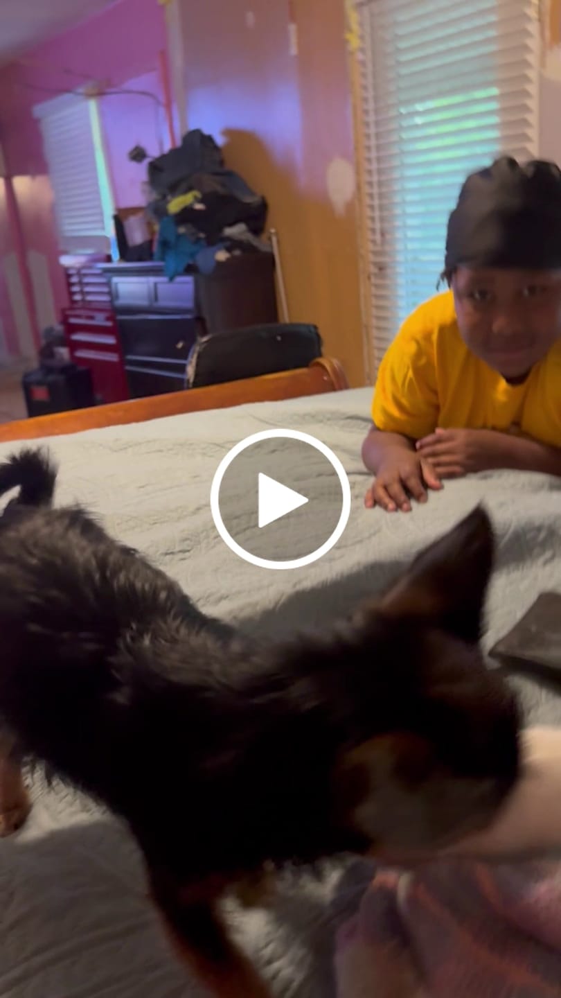 Customer video review of K9 Belly Bliss