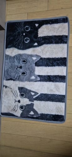 Customer photo review of Cat Print Doormat - Waterproof Soft Floor Rug