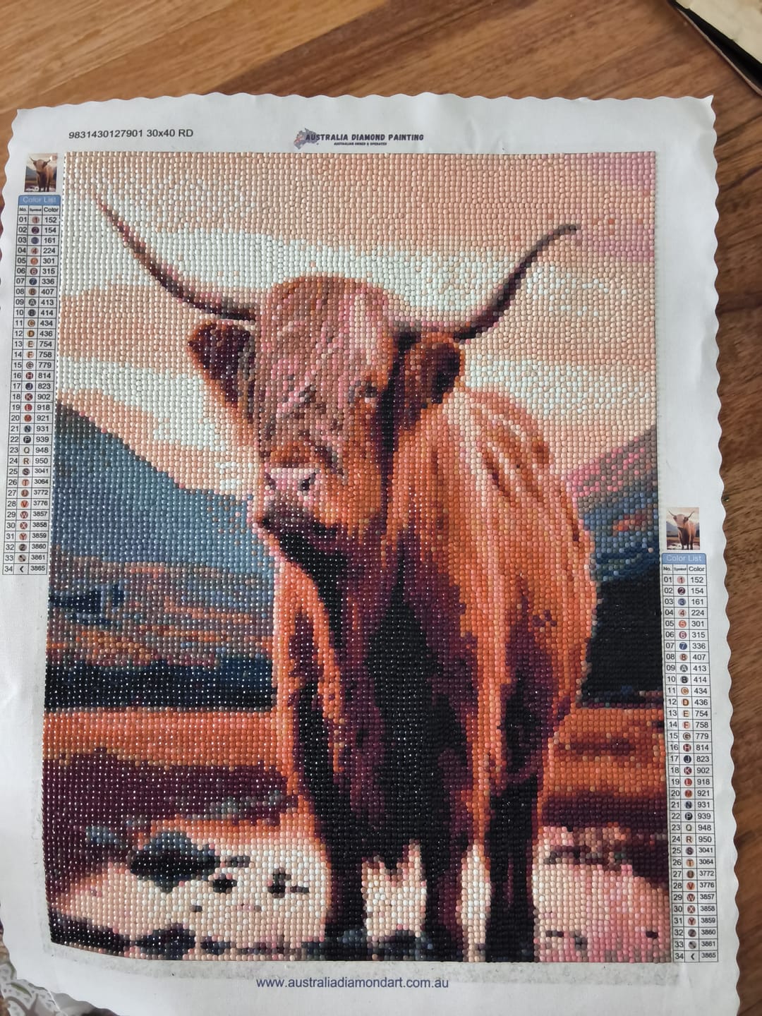 Customer photo review of Highland Cow