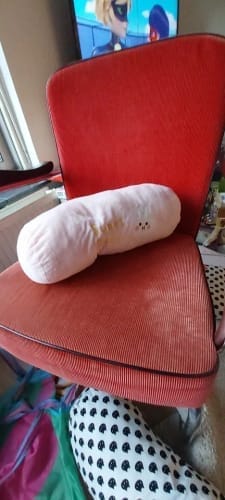 Customer photo review of Long Bolster Pillow – Rectangular Pregnancy Support Cushion for Side Sleepers