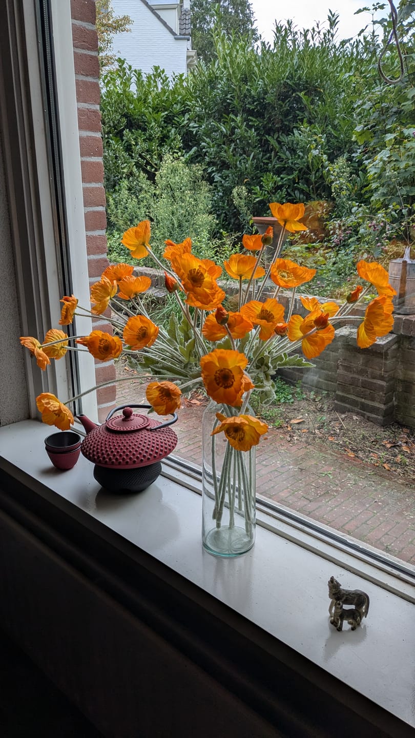Customer photo review of Zijden Klaprozen - Licht oranje