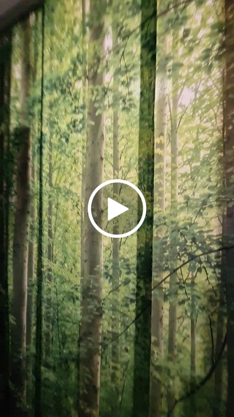 Customer video review of Foto Schiebegardine "Sonne strahlt durch den Wald"