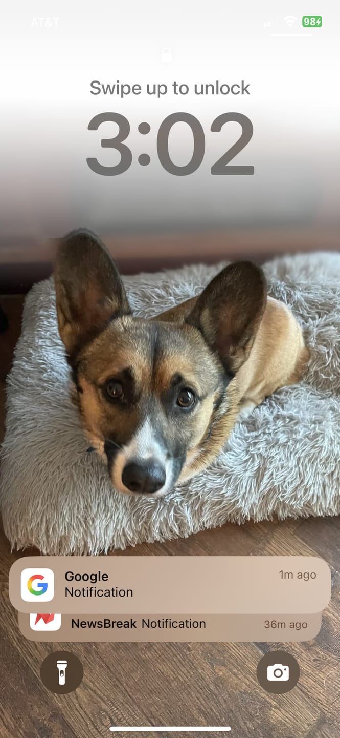Customer photo review of FurLife™ 12 Months Flea and Tick Free