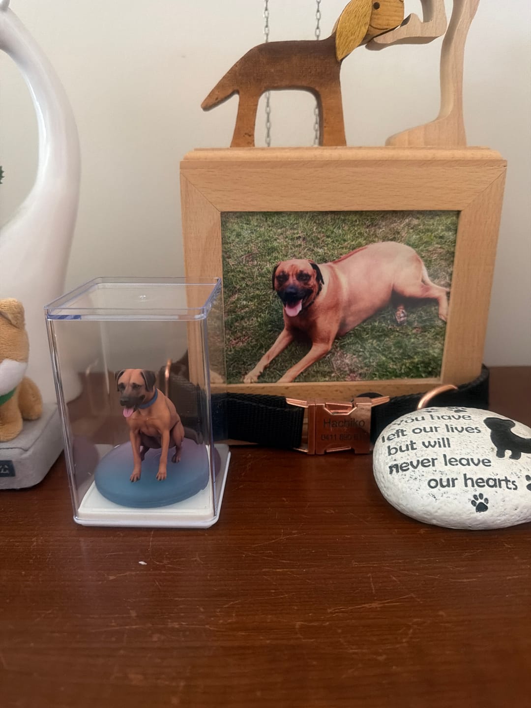Customer photo review of Dust-Proof Acrylic Display Case
