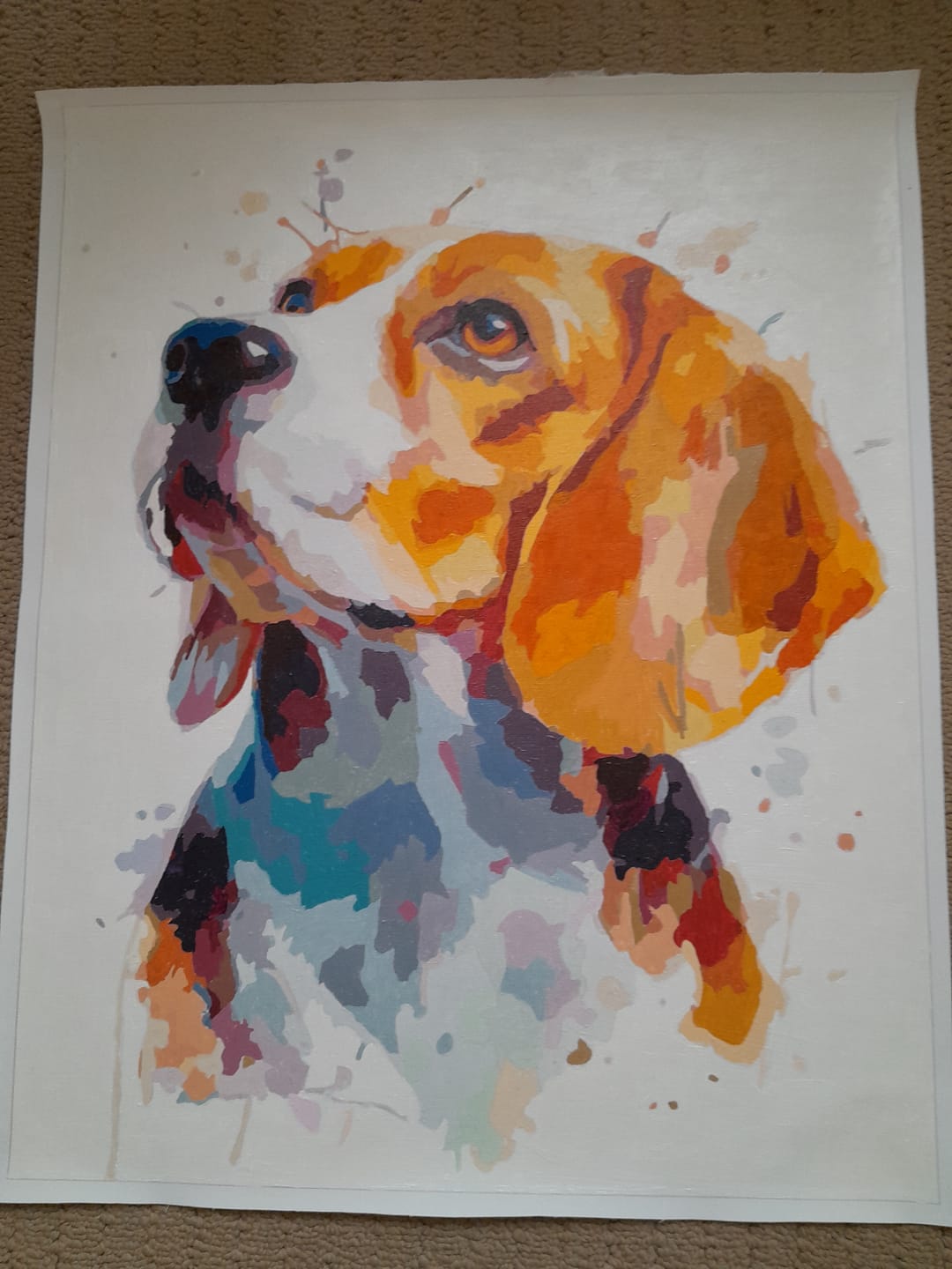Customer photo review of Artful Beagle