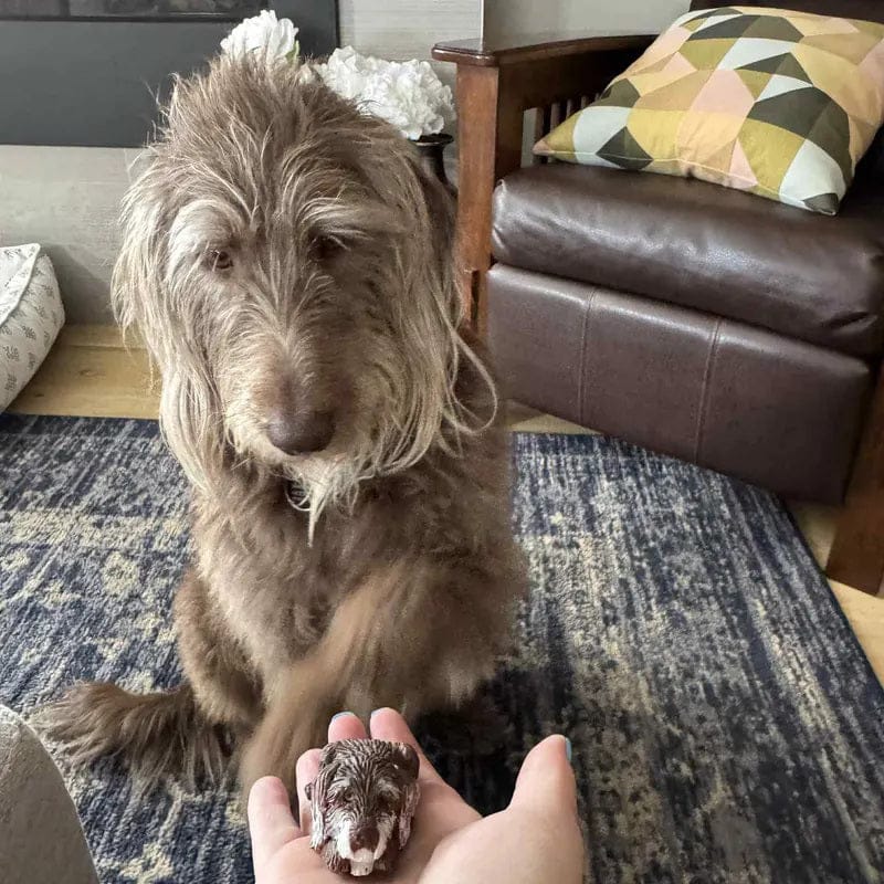 Customer photo review of Custom Handmade Polymer Clay Pet Figurine