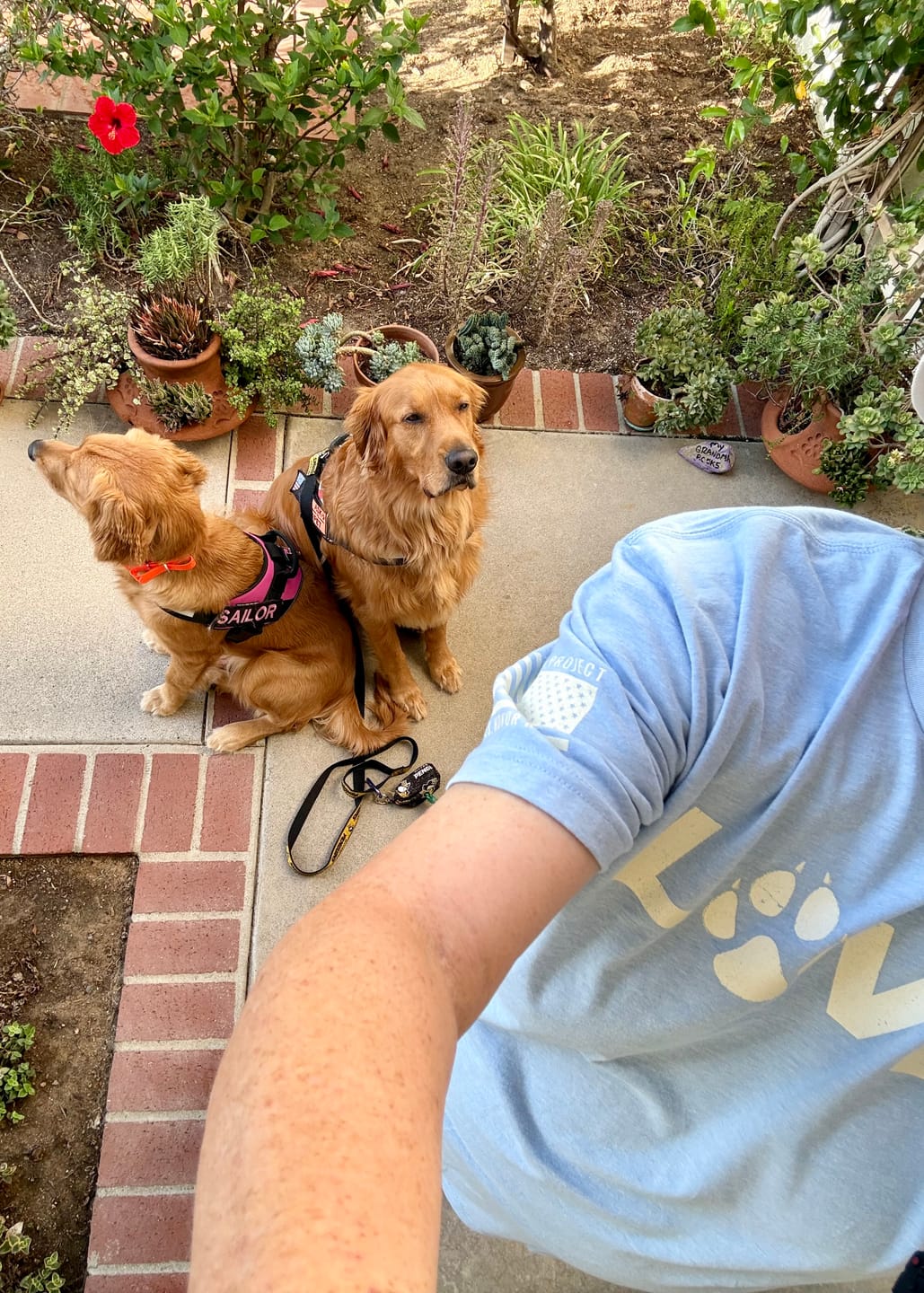 Customer photo review of The Love Of Dogs