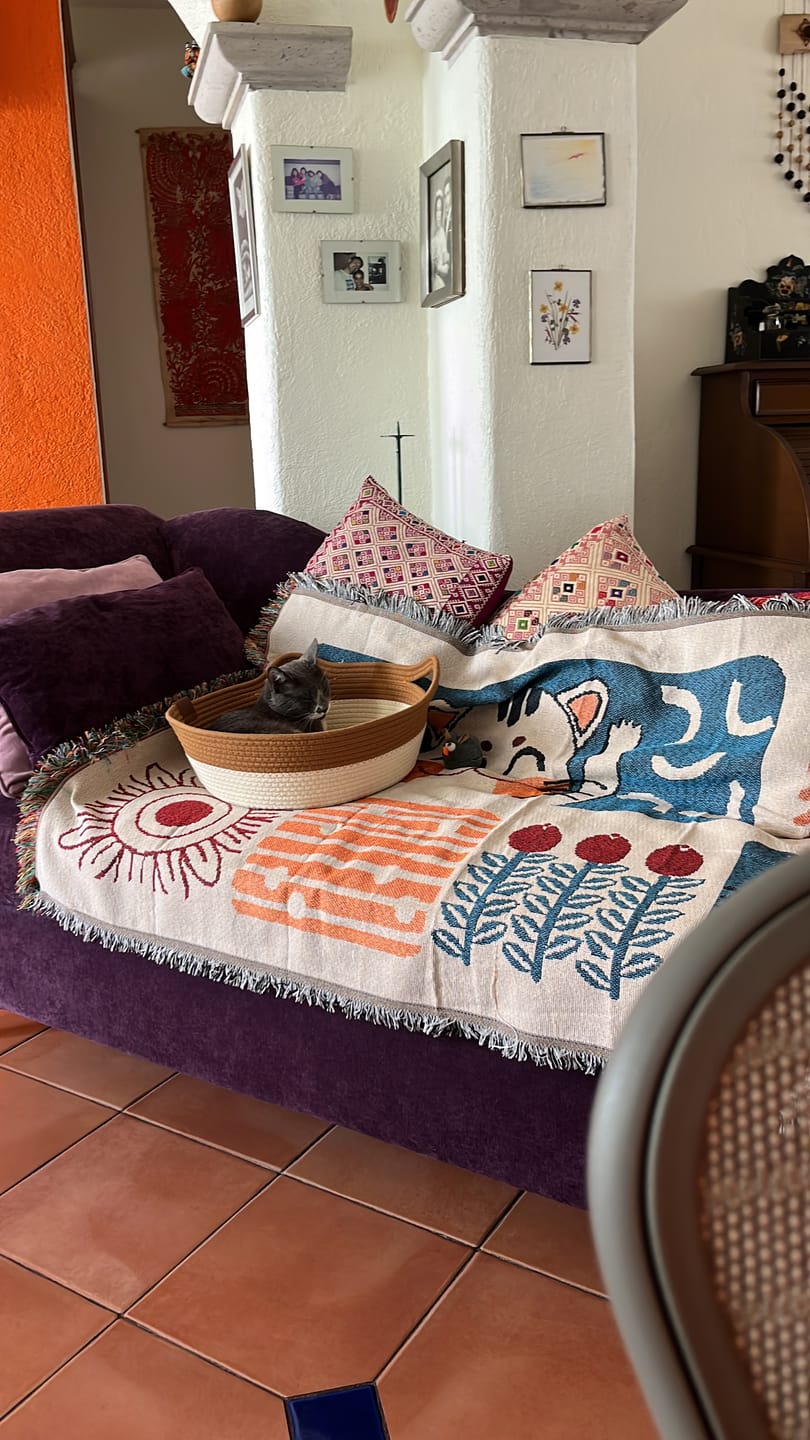 Customer photo review of CT9016 1 Pieza De Tapete Protector Para Mascota