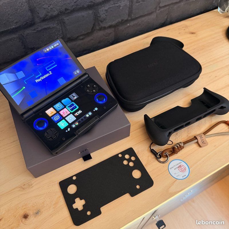 Customer photo review of Ayn Thor