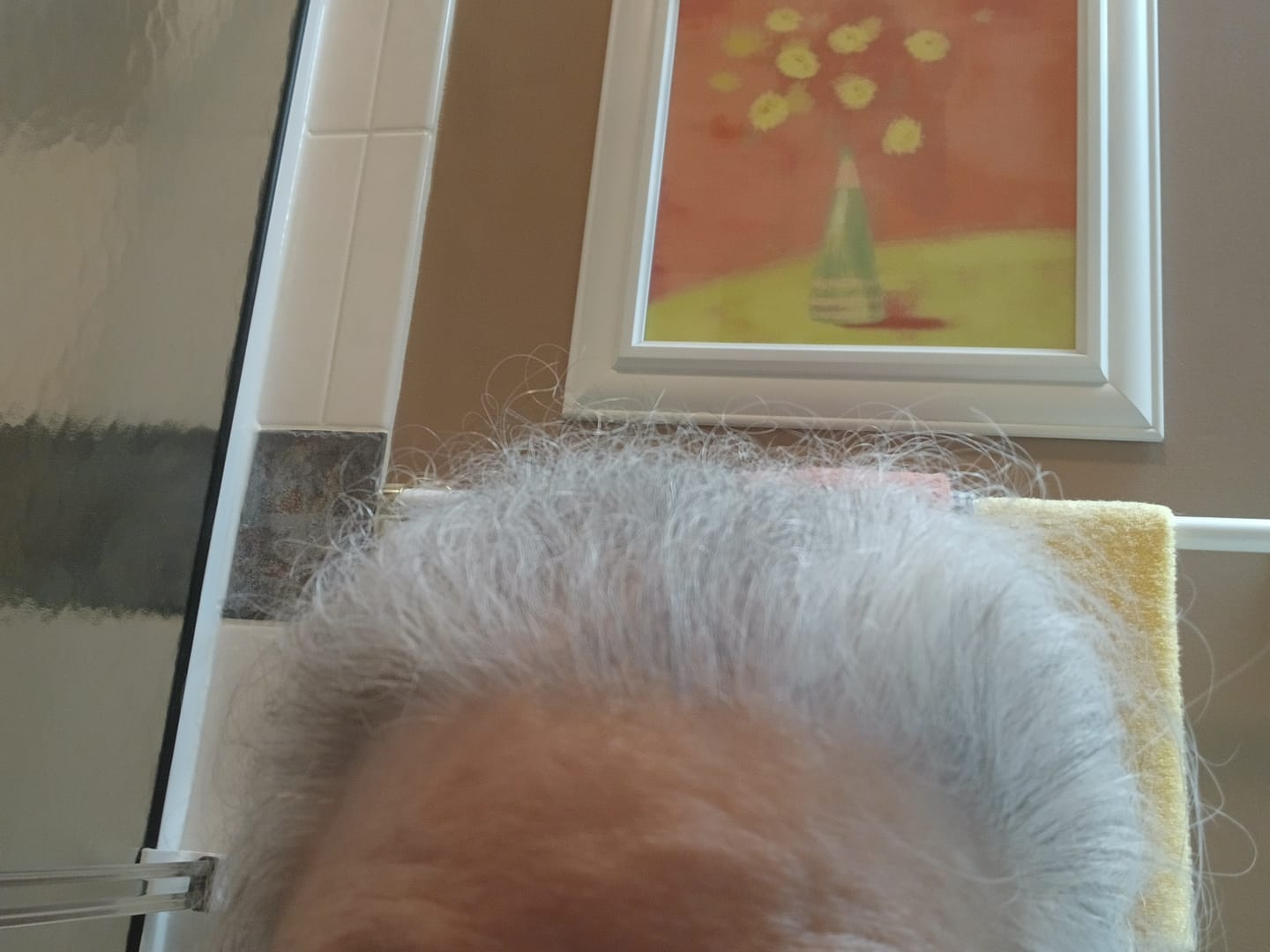 Customer photo review of Hair Thickening Shampoo