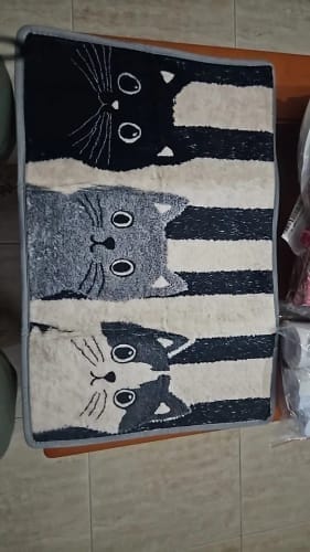 Customer photo review of Cat Print Doormat - Waterproof Soft Floor Rug