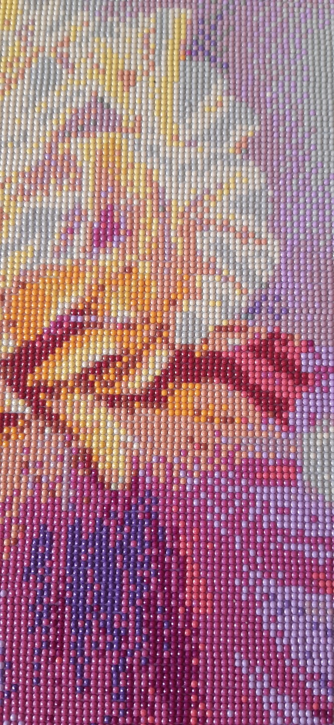Customer photo review of Broderie Diamant - Iris bicolore
