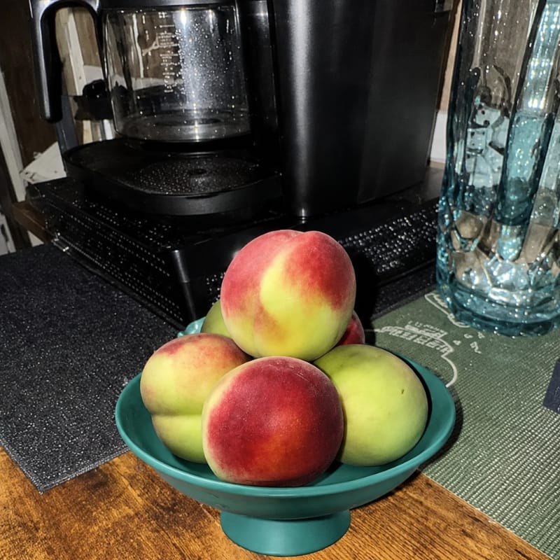 Customer photo review of Haruto Tea Art Dessert Plate