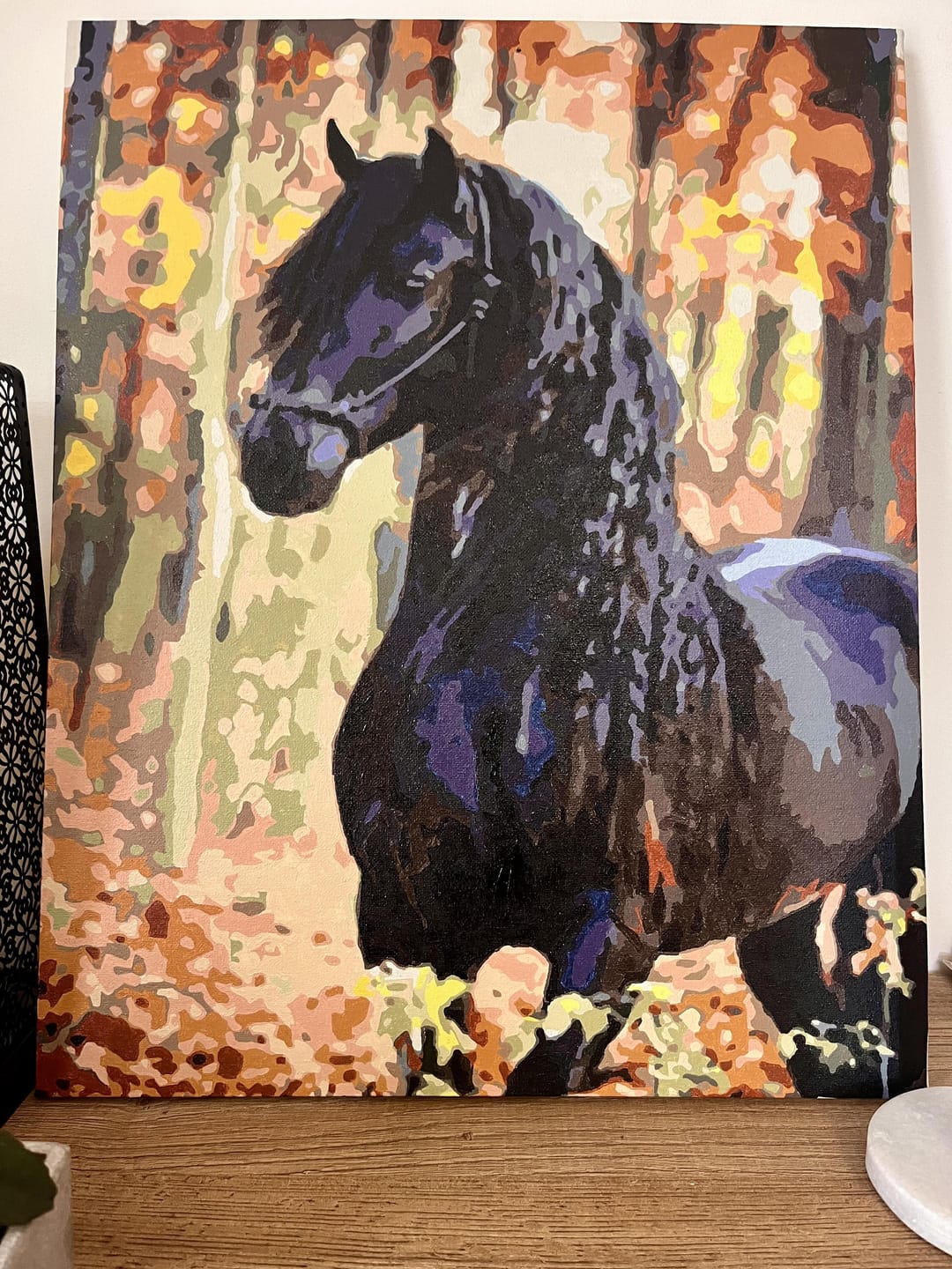 Customer photo review of Cheval noir gracieux