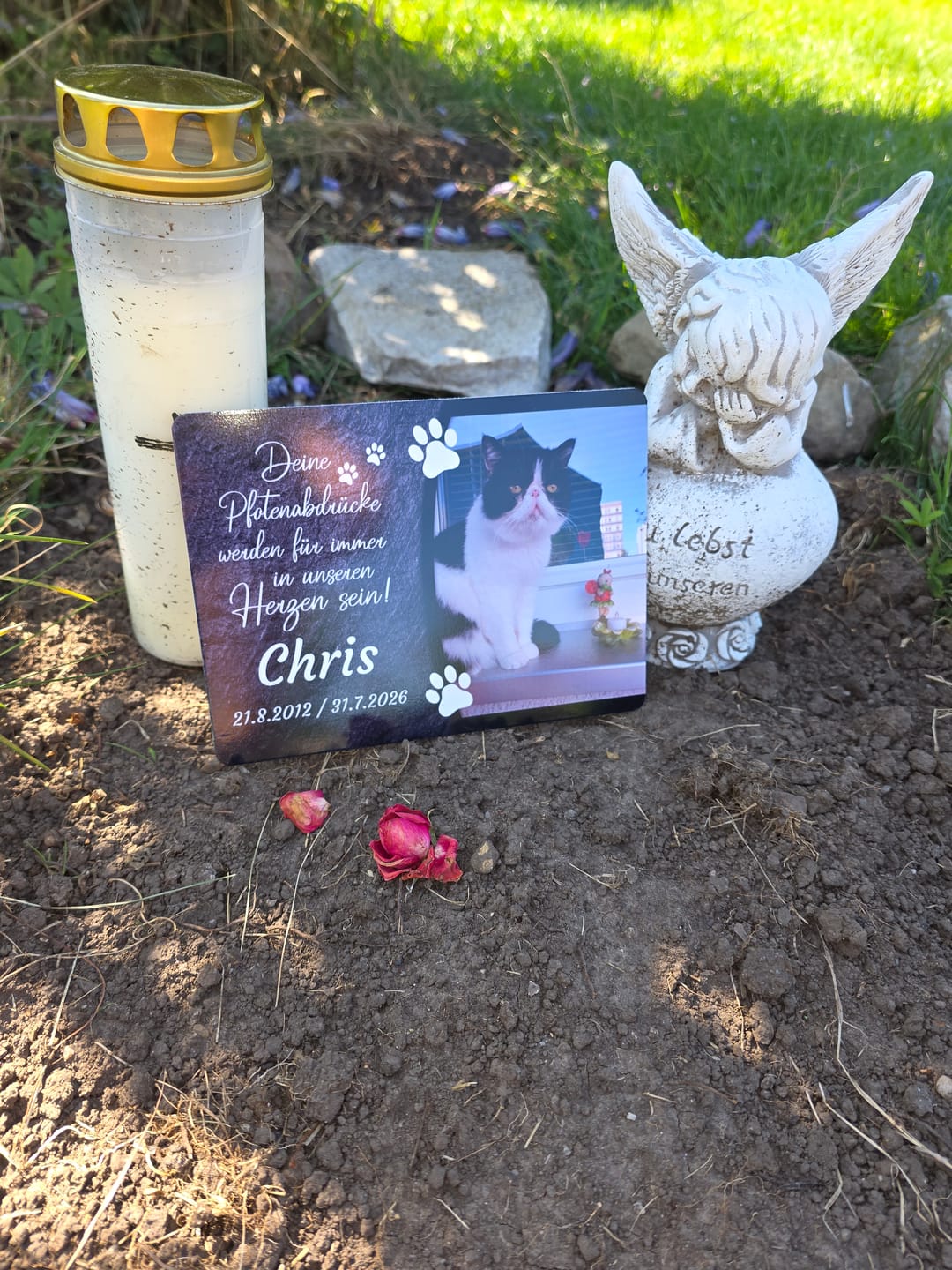 Customer photo review of Katzen Gedenktafel mit Foto & Spruch (UV- & Wetterfest)