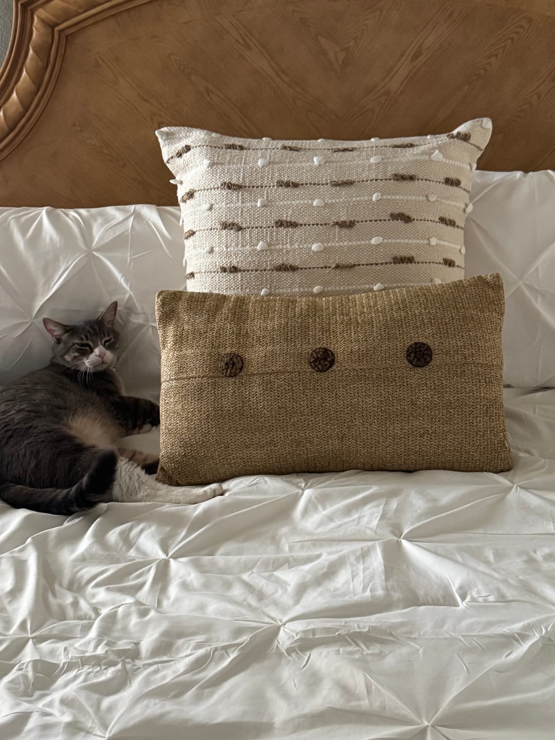 Customer photo review of India Chic 100% Cotton Pillow Cover