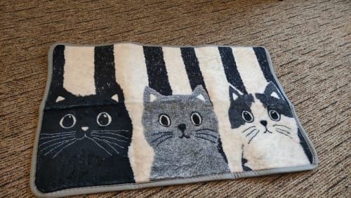 Customer photo review of Cat Print Doormat - Waterproof Soft Floor Rug