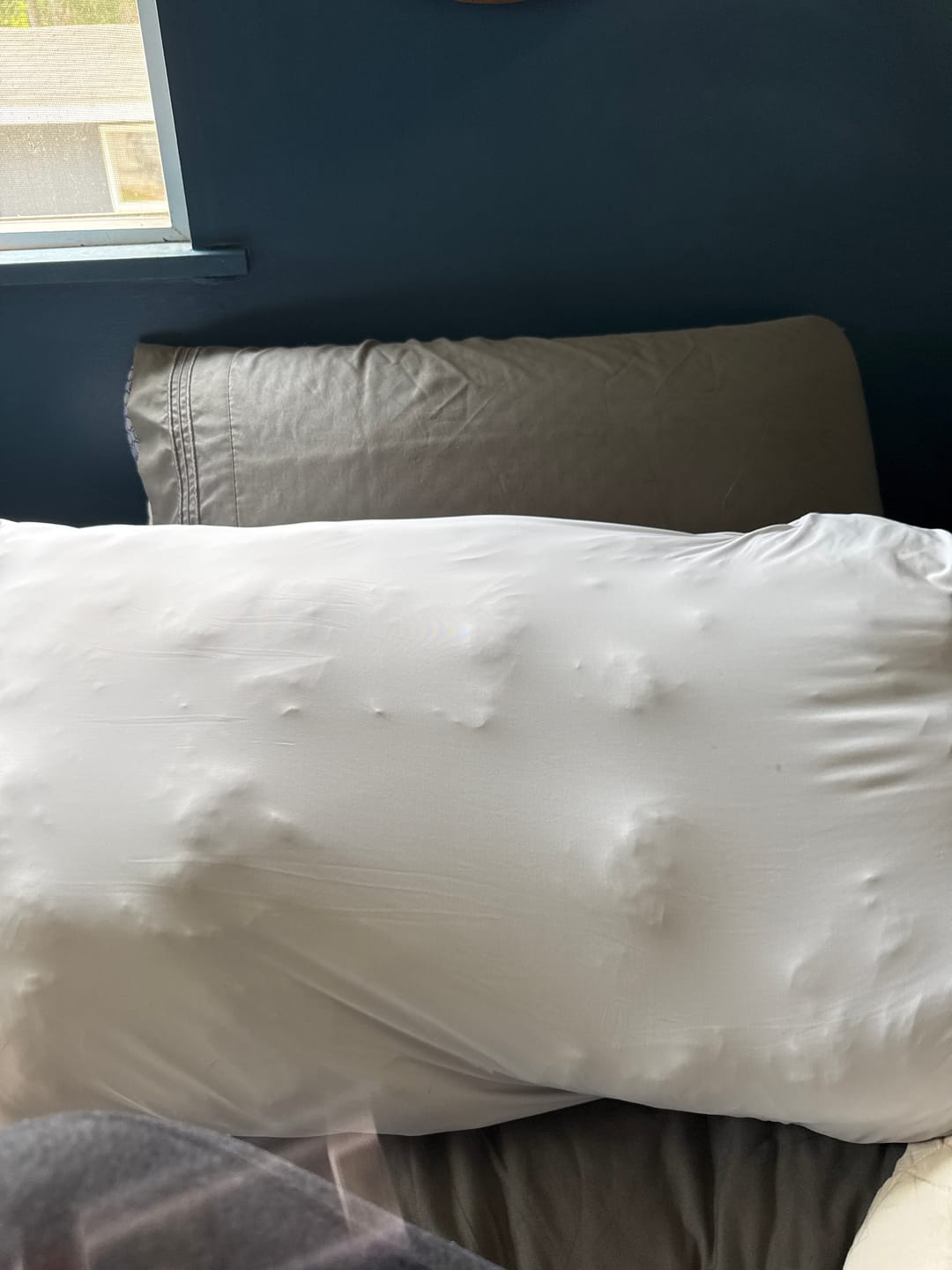 Customer photo review of Puff Pillow
