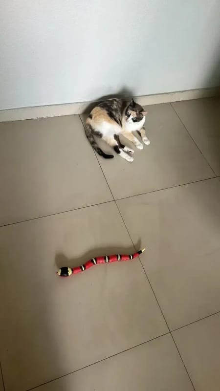 Customer photo review of The Slither — Auto Sensing Cat Snake Toy