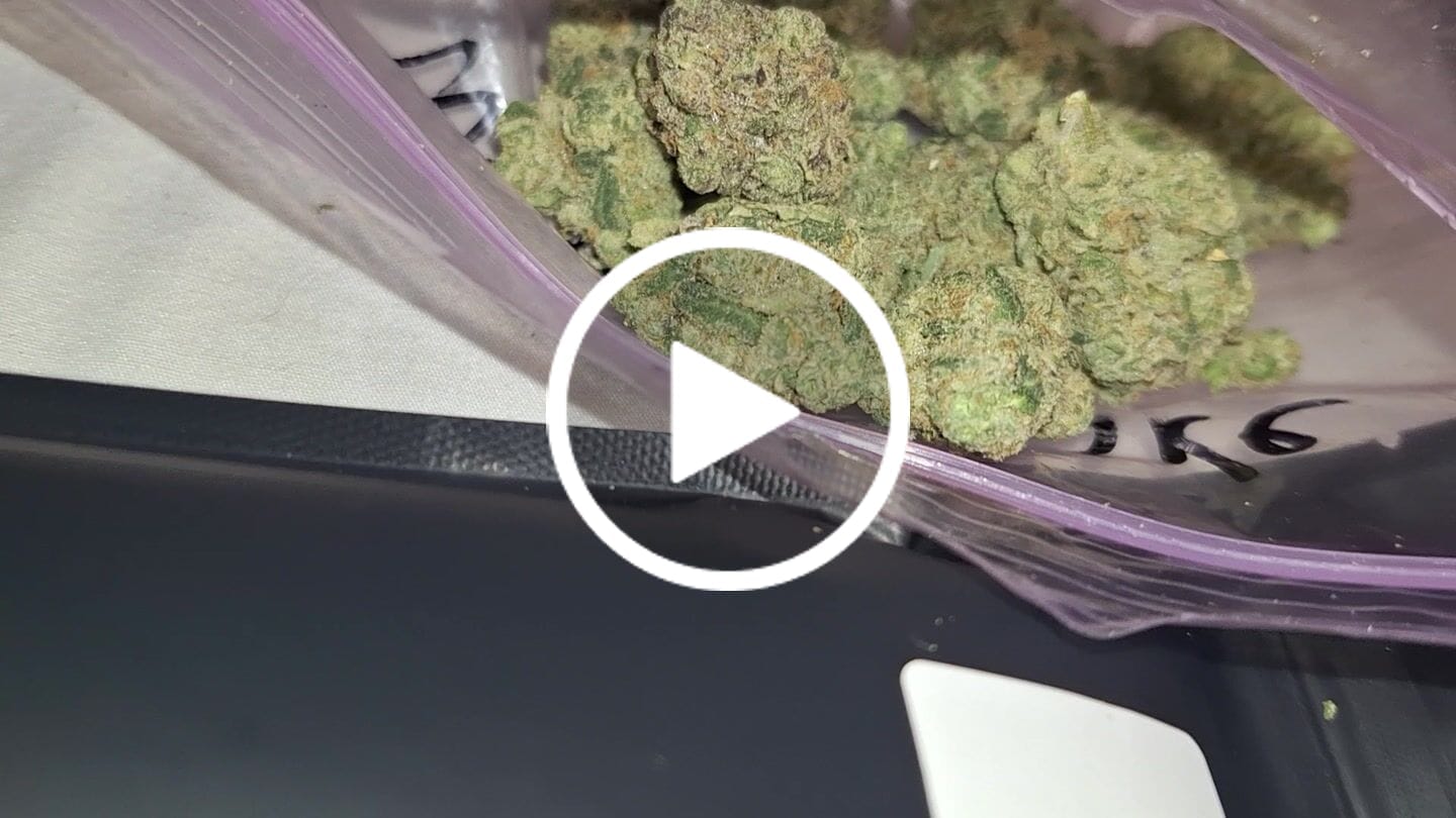 Customer video review of Blueberry THCA Flower (Exotic)