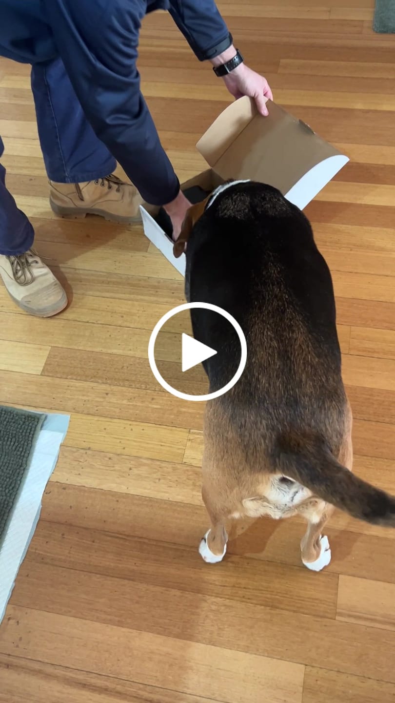 Customer video review of Coffee Beans