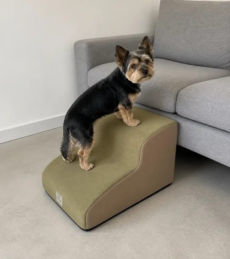 Customer photo review of Gentle Slope Pet Ramp for Beds & Sofas