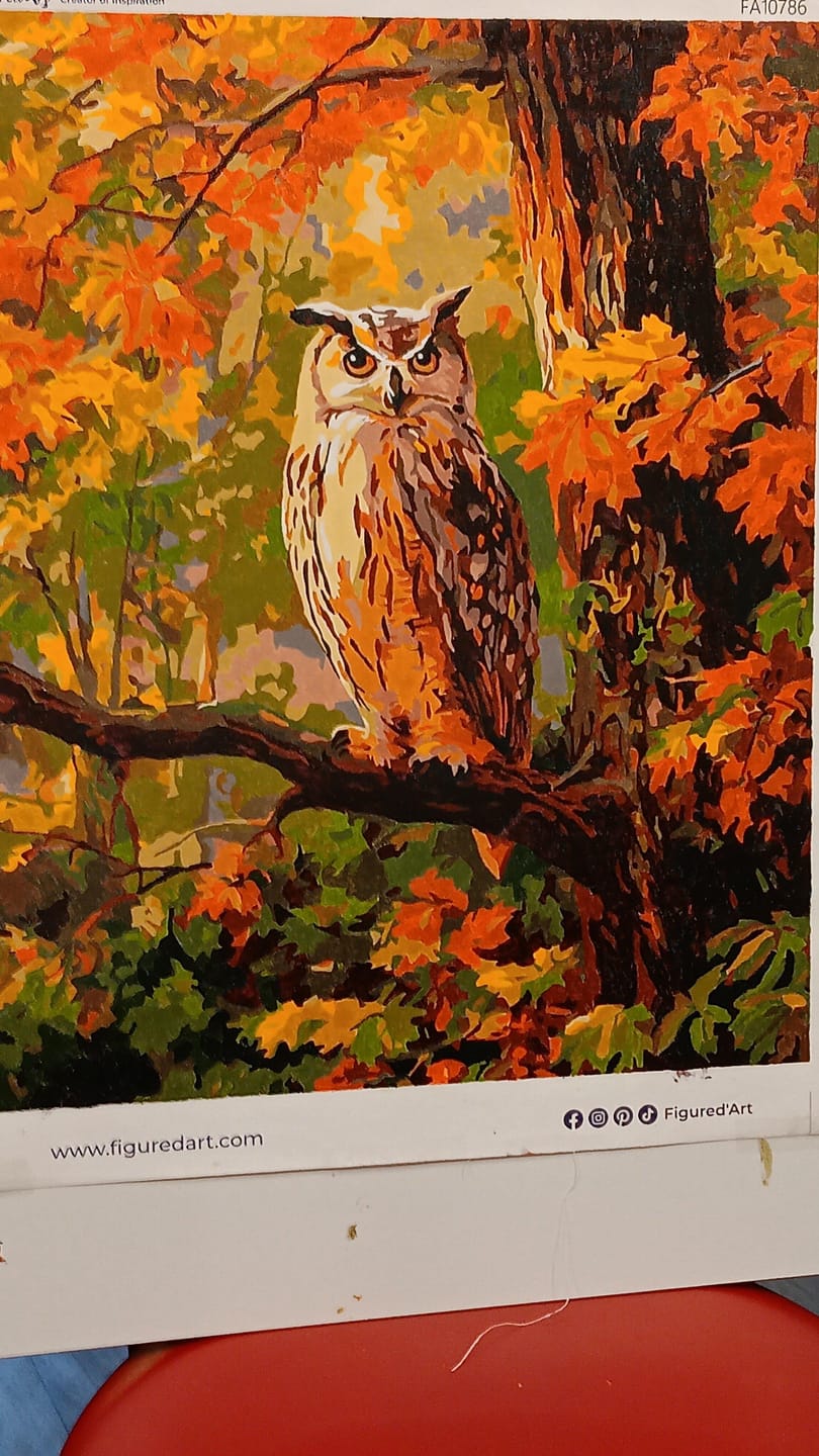 Customer photo review of Hibou parmi les feuilles dorées