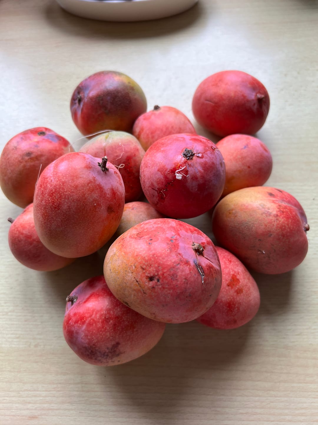 Customer photo review of Mini-Mango Tropigold von Antonio Aktionspreis %