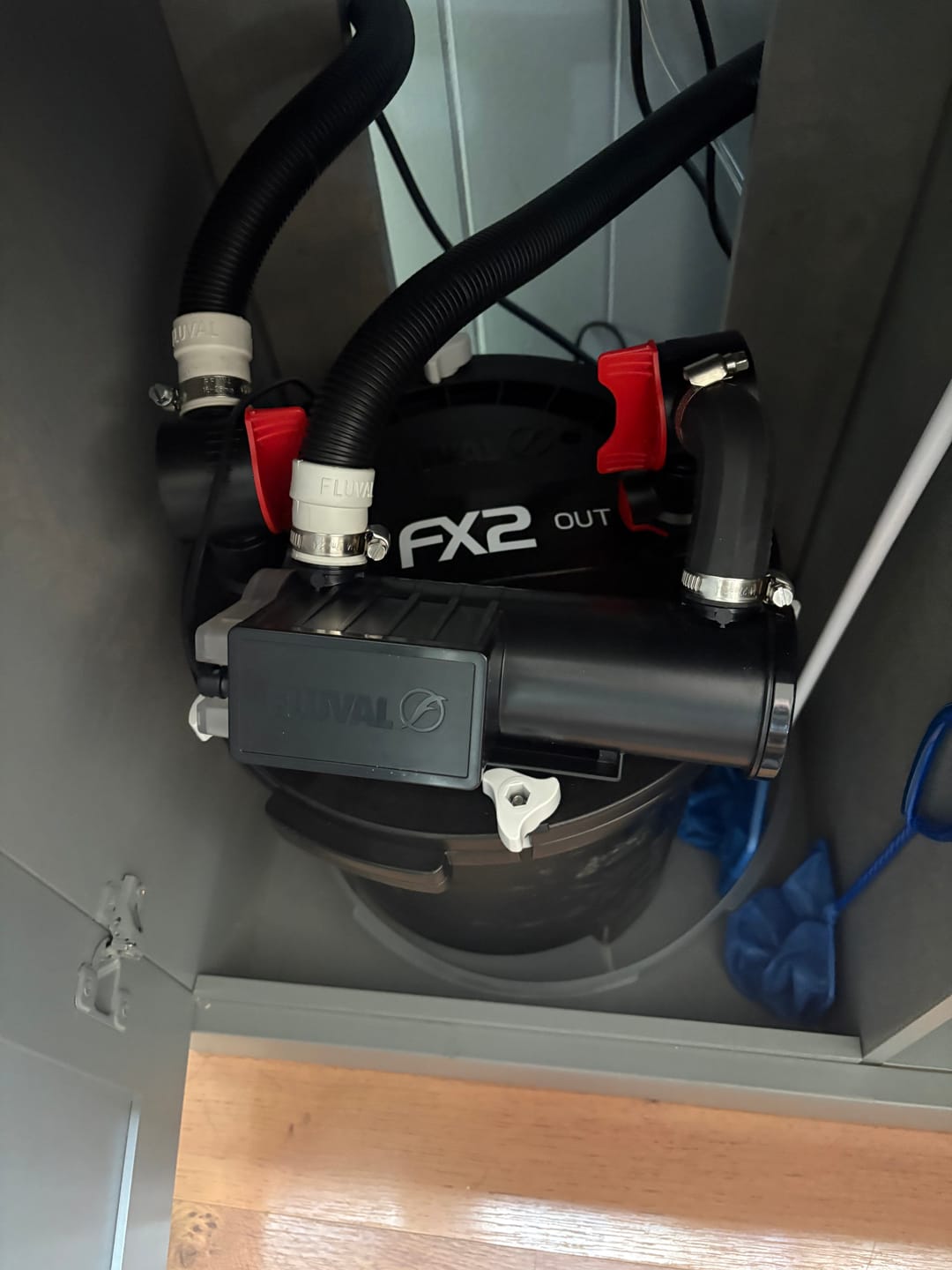 Customer photo review of Fluval FX UVC In Line Clarifier