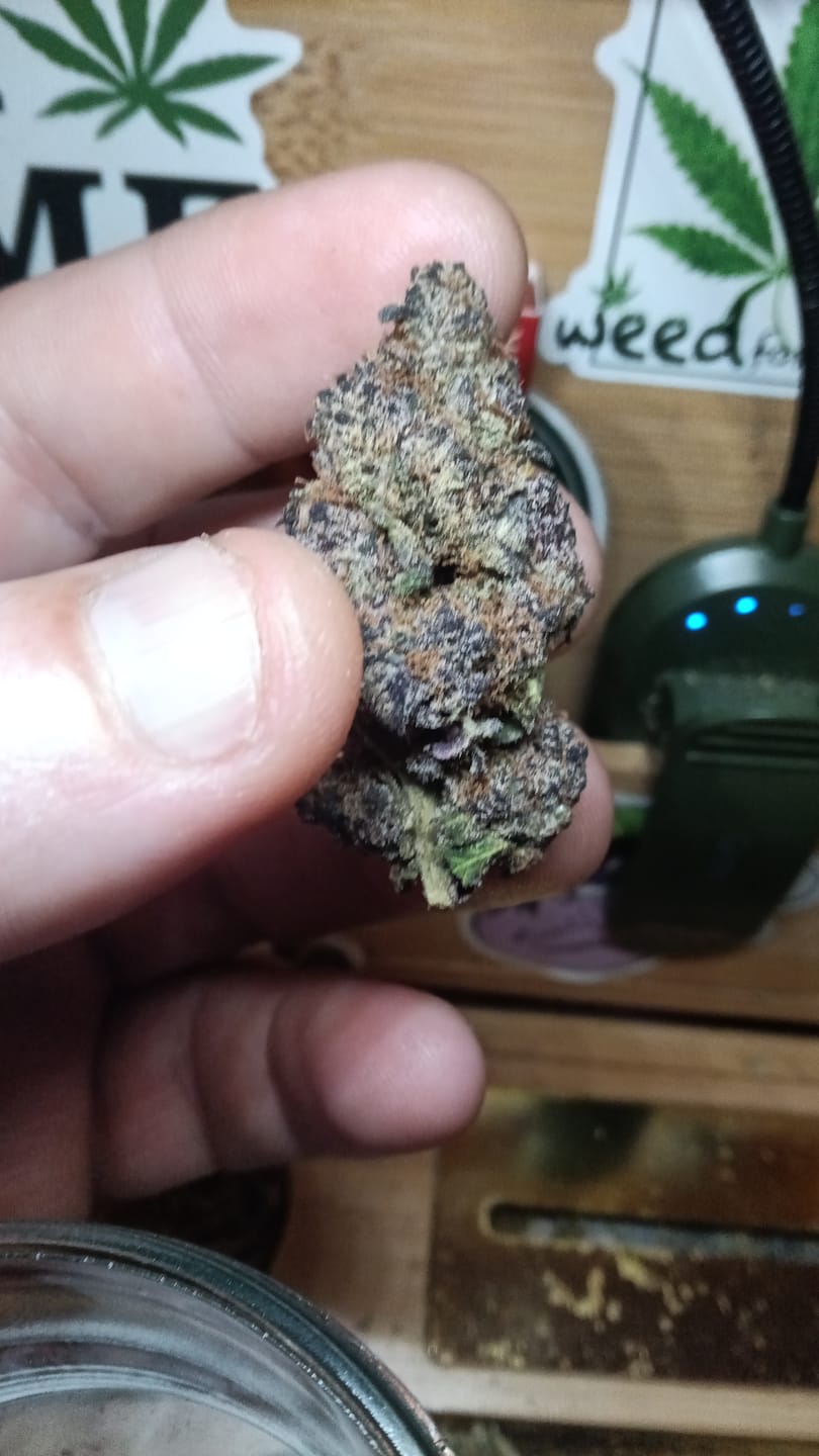 Customer photo review of Sweet ZZ - 28 Grams - Indica