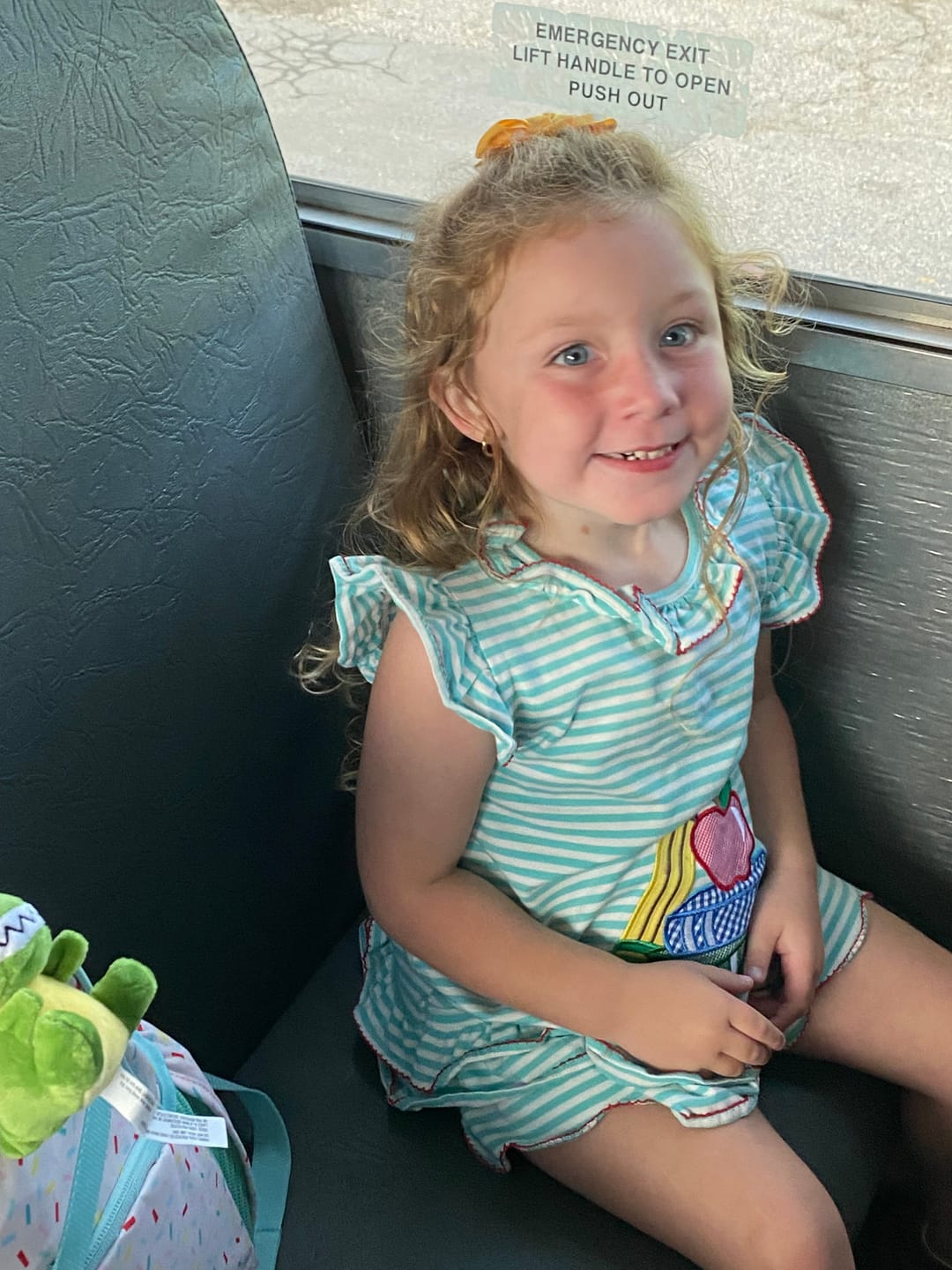 Customer photo review of School Book Turquoise Stripe Adalyn Short Set