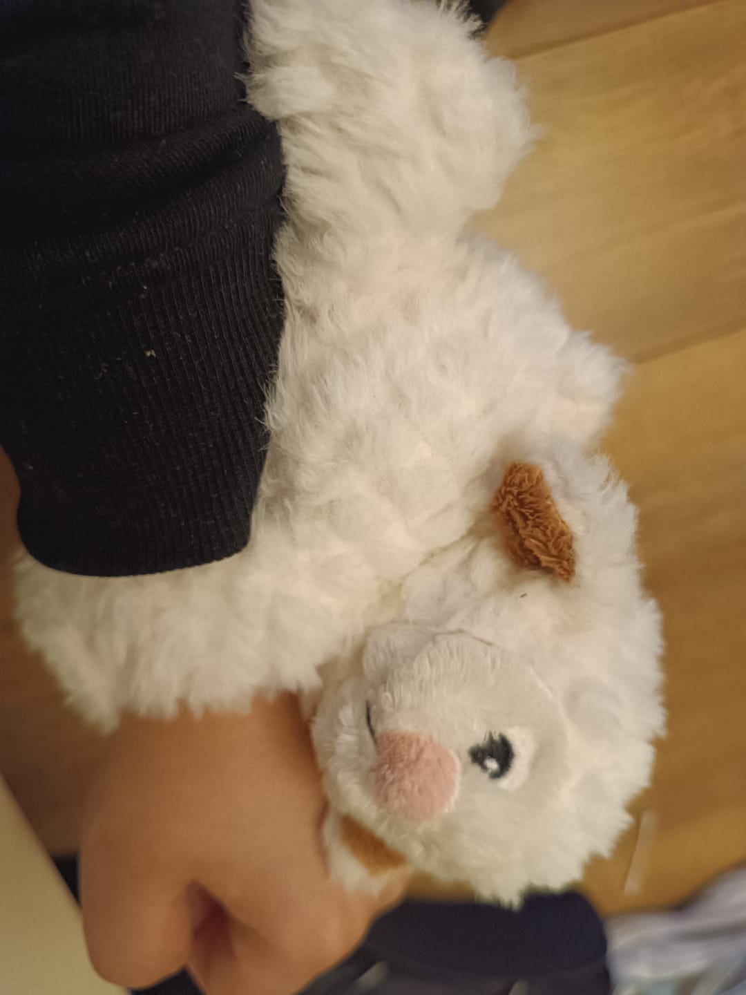 Customer photo review of Mini Lotgenootje Schaap