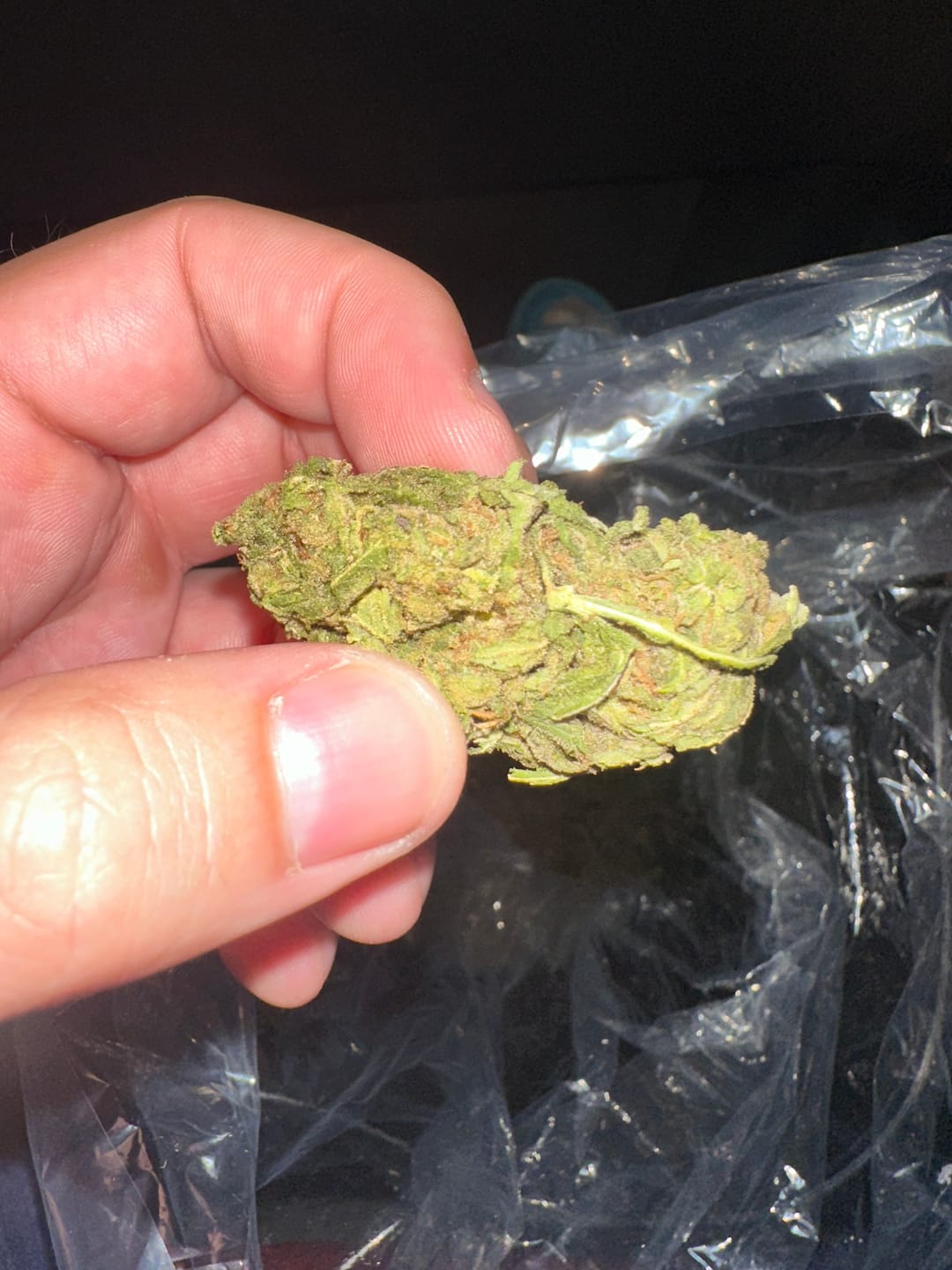 Customer photo review of Mochi Gelato - Bulk - Indica