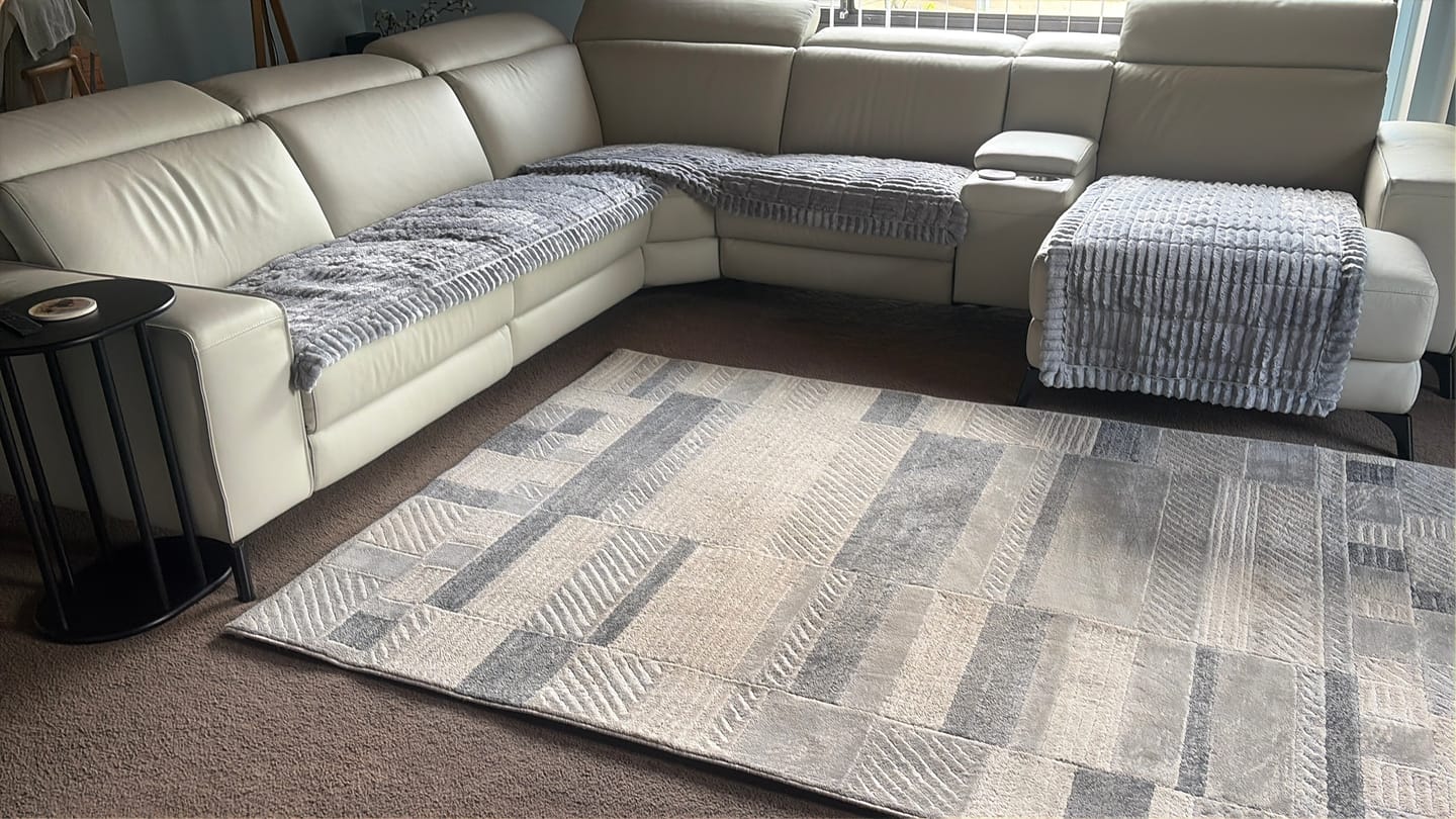 Customer photo review of CouchCloud - Couch Covers