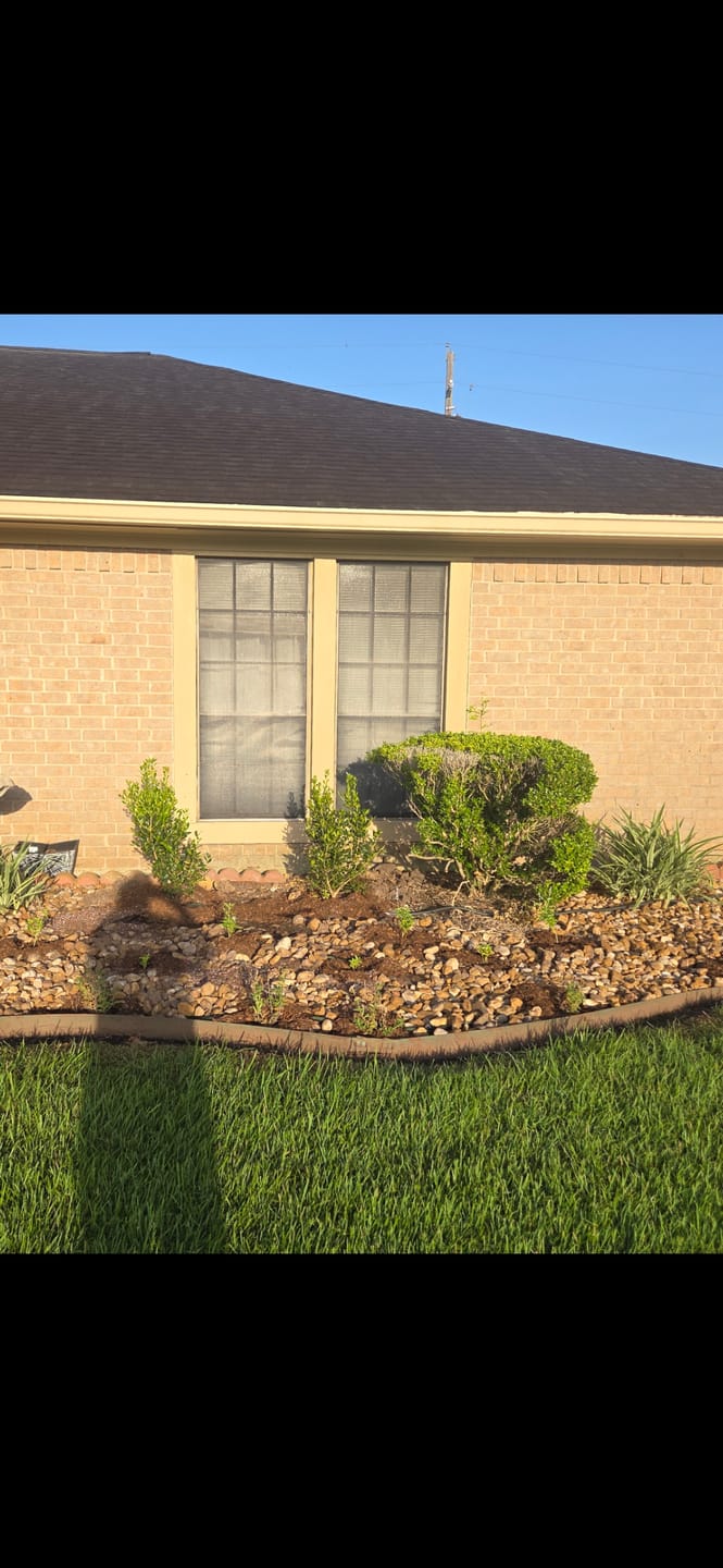 Customer photo review of Mealy White Sage 'Augusta Duelberg’