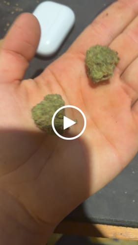 Customer video review of CALI MIX AAA+ – Premium Selection