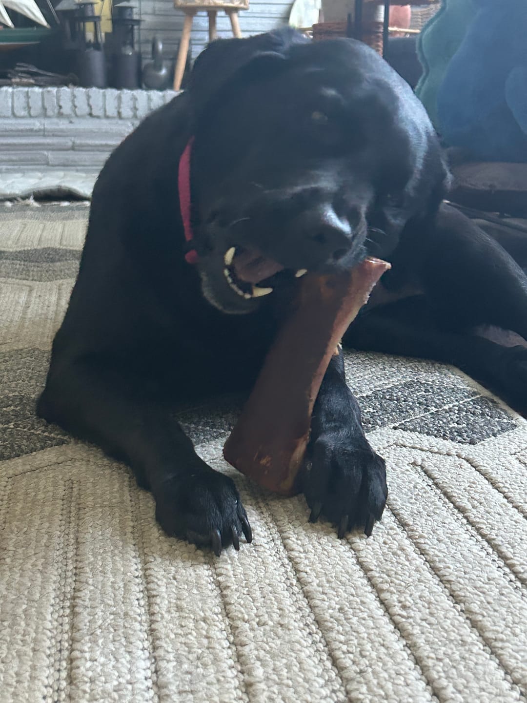 Customer photo review of Smoked Beef Marrow Bones — Stuffed Edition (Limited Time)