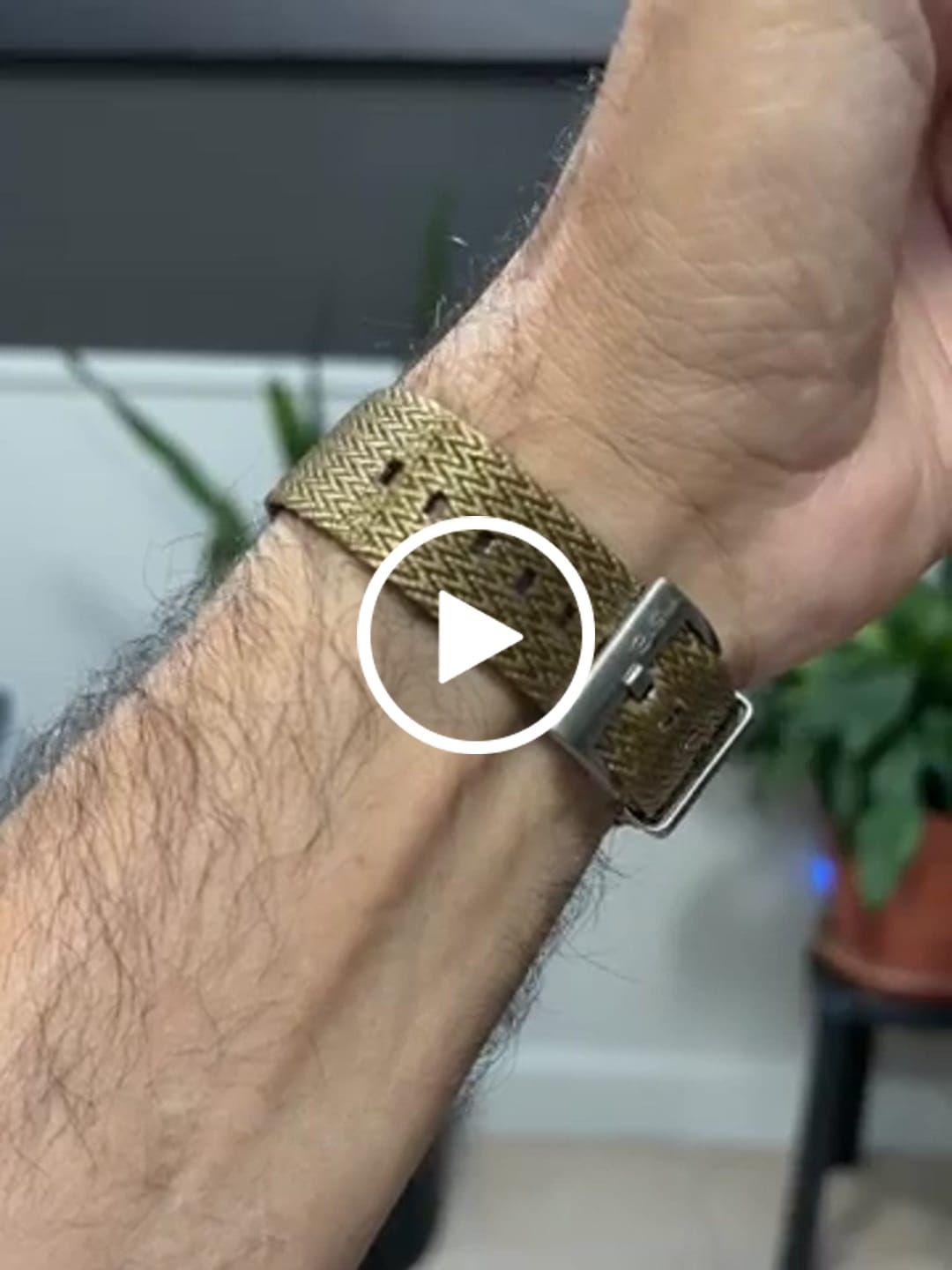 Customer video review of SharkFin - Graham Cracker