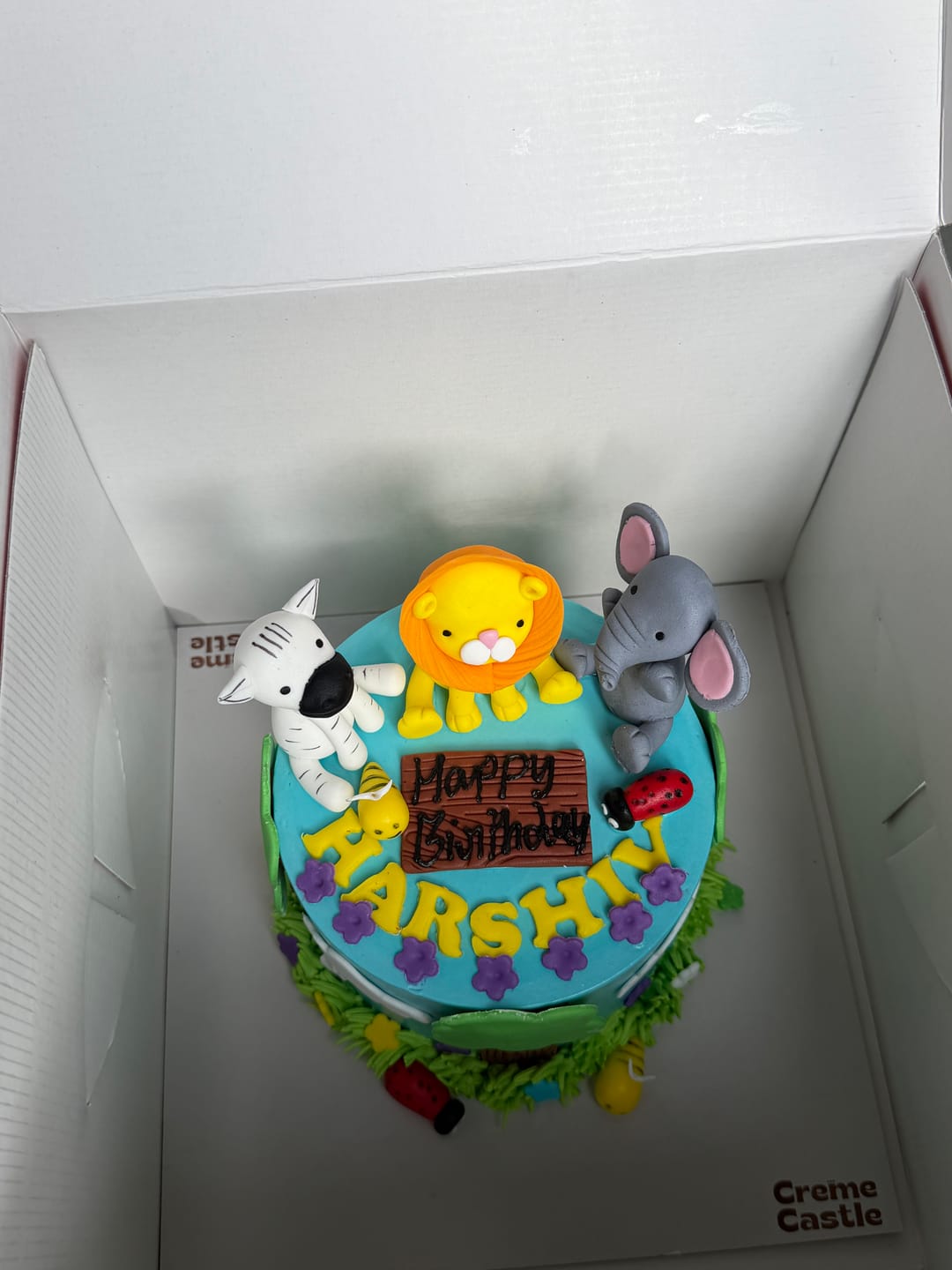 Customer photo review of Jungle Theme Cake for Kids