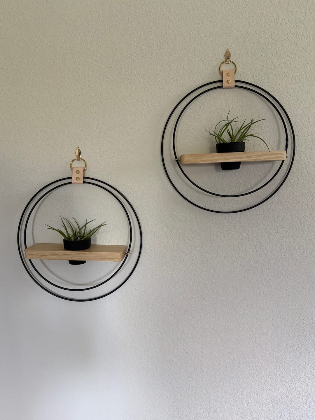 Customer photo review of Air Plant Shelf + Pot Trio