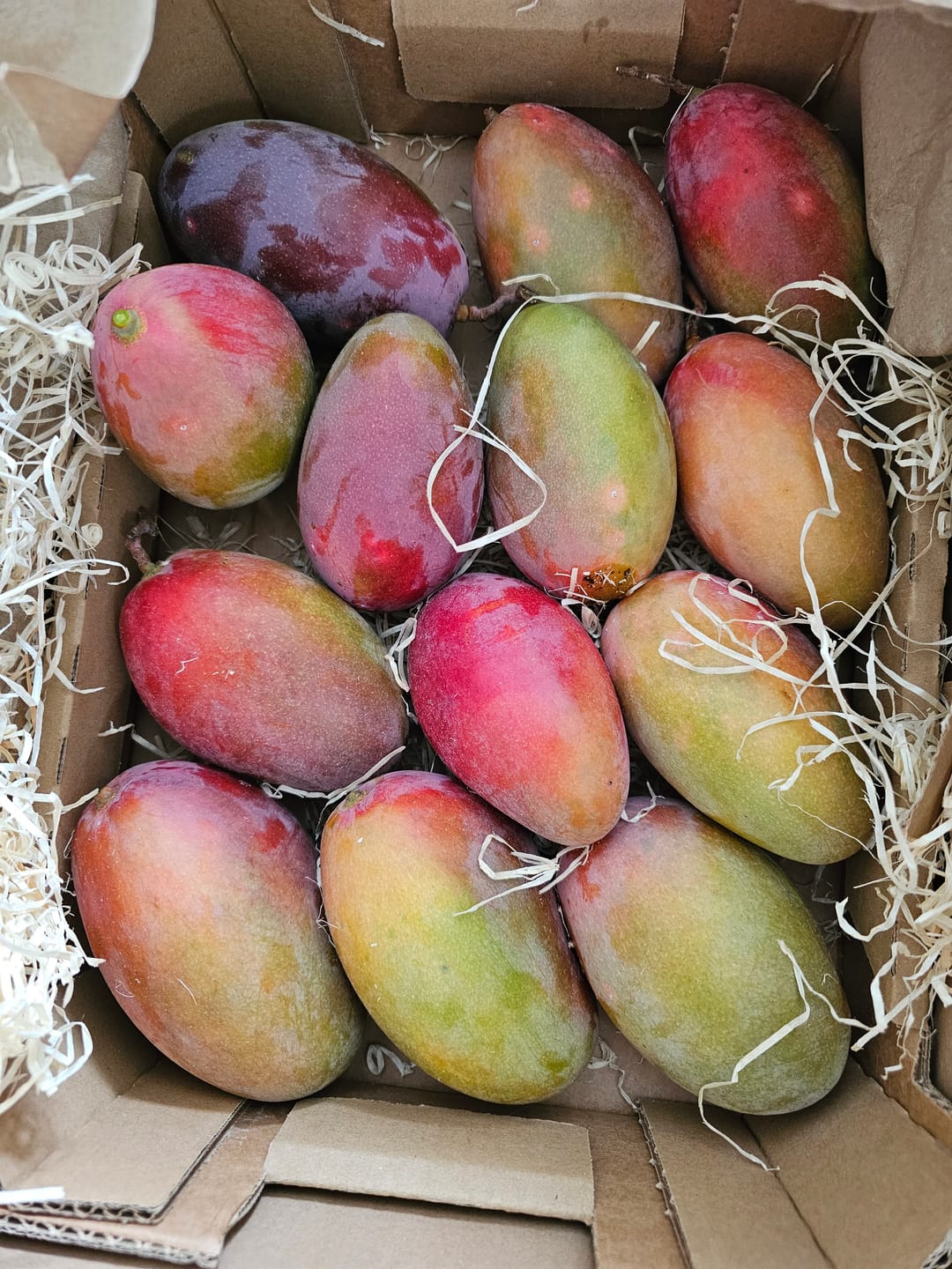 Customer photo review of Mango Osteen von Julian Sparpreis-Box %
