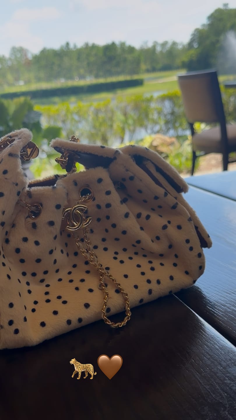 Customer photo review of Chanel 2026 Hobo Bag 22cm Beige Black Plush Leather