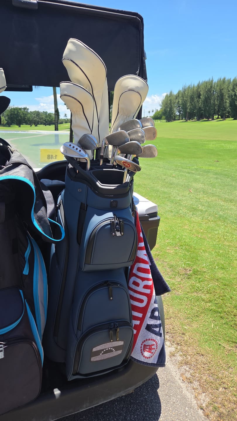Customer photo review of LUX Cart Bag: Blue Steel