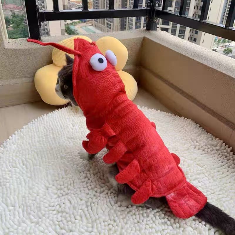 Customer photo review of Lobster Costume