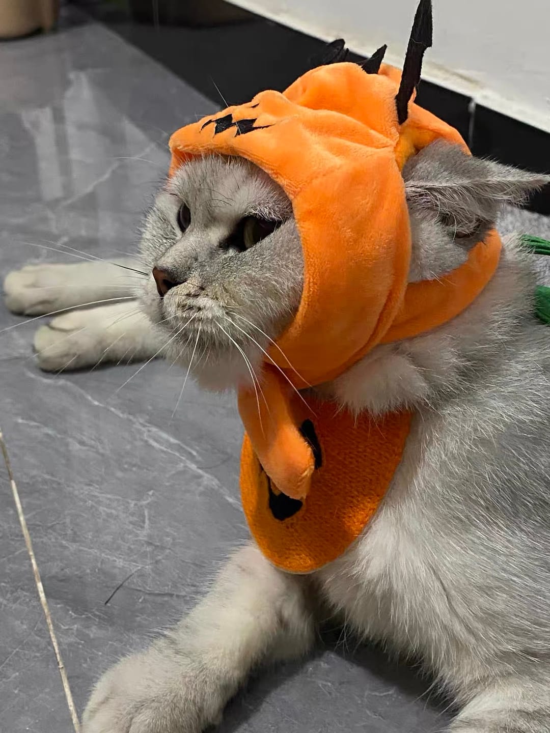 Customer photo review of Halloween Bandana Costume Bib