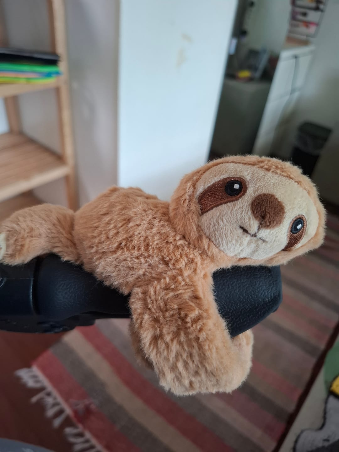 Customer photo review of Mini Lotgenootje Luiaard