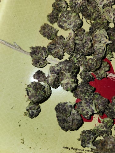 Granddaddy Purple - Minis - 14 Grams - Indica photo review