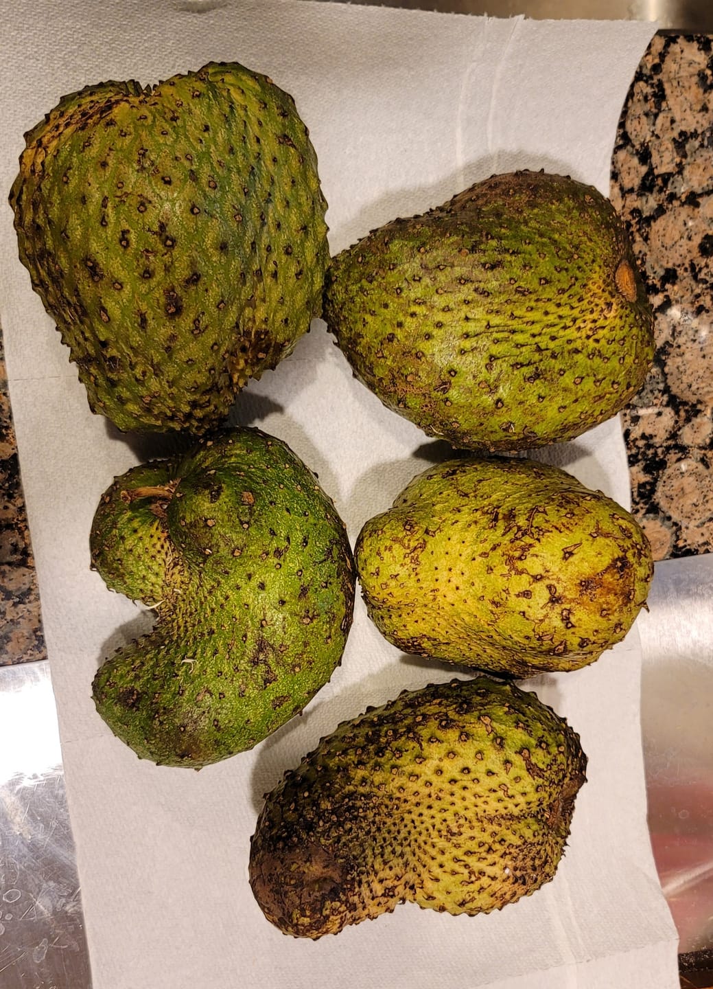 Customer photo review of Premium Soursop (Guanabana)