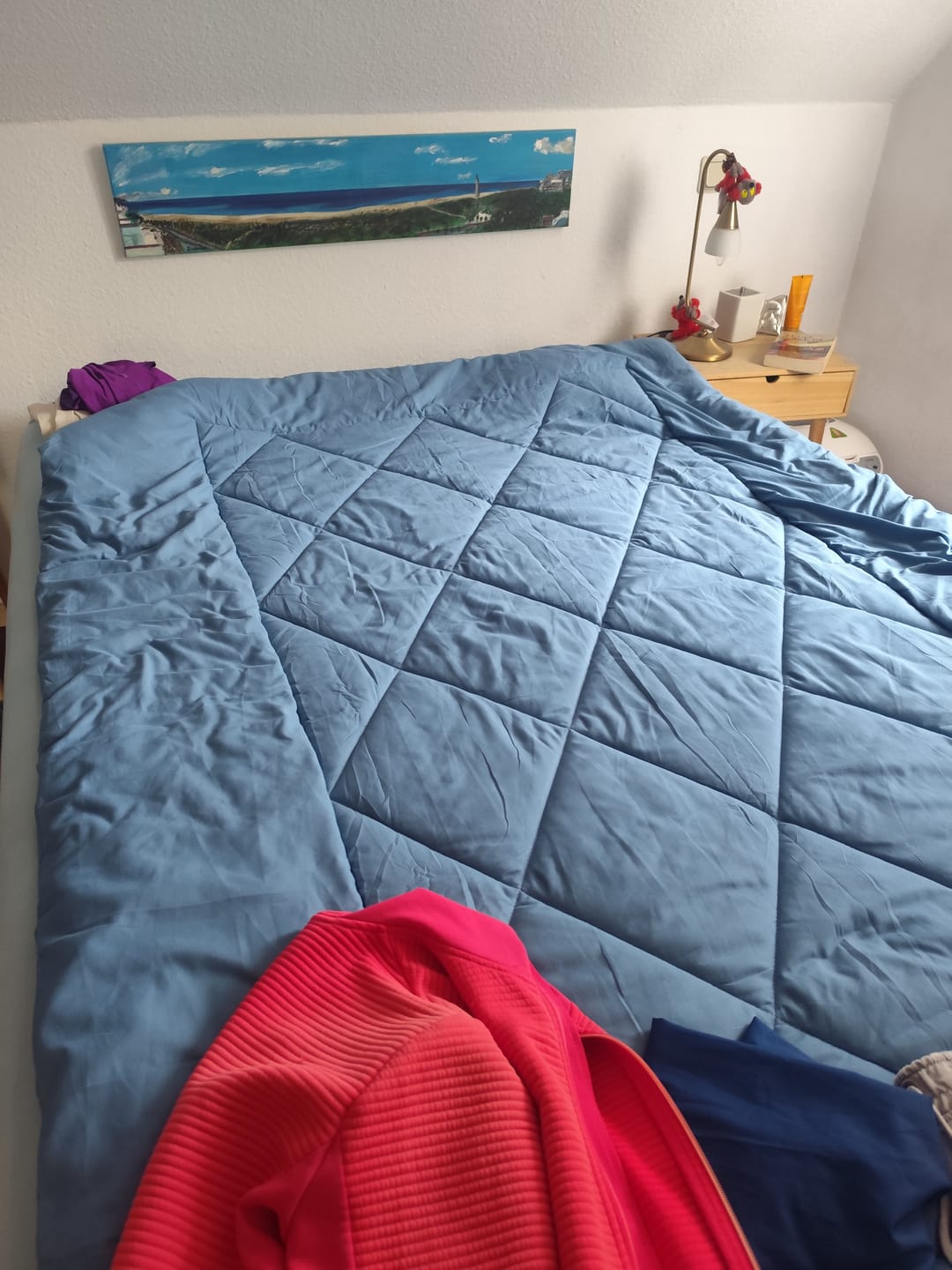 Customer photo review of EasySleep® Decke – Die schnelltrocknende 2-in-1 Bettdecke, die Bettwäsche überflüssig macht.